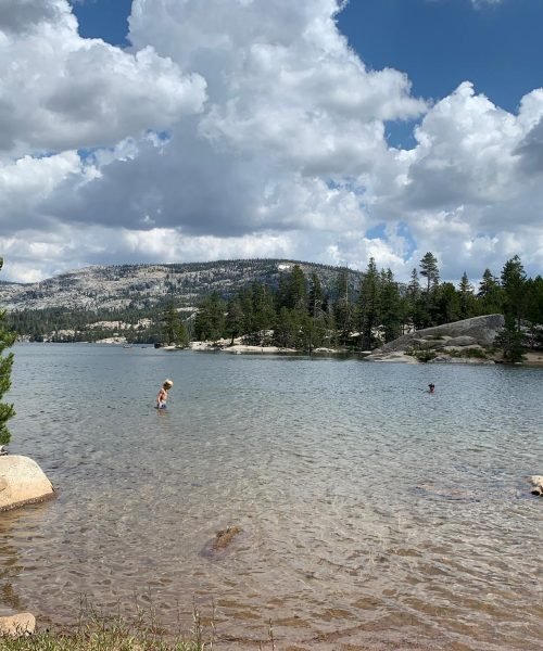 WhatsApp Image 2025-11-21 at 3.08.12 PM (5)