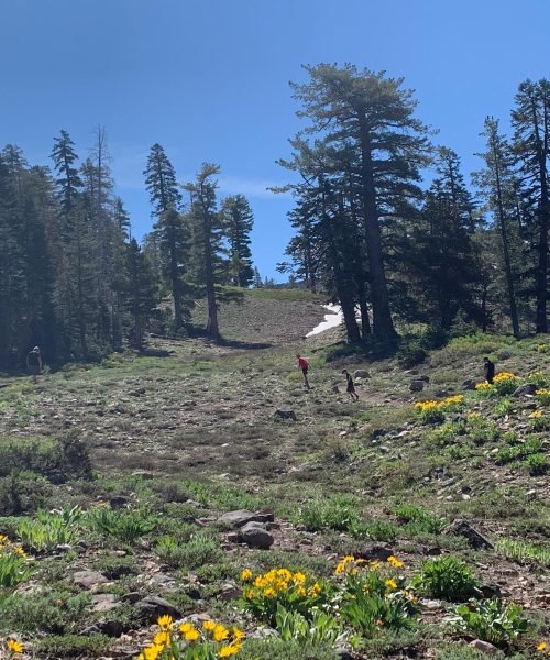 WhatsApp Image 2025-11-21 at 3.08.12 PM