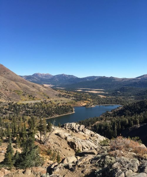 WhatsApp Image 2025-11-21 at 3.08.13 PM (1)