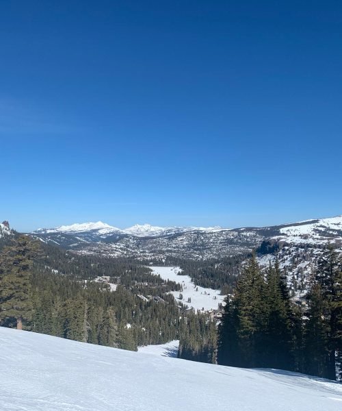 WhatsApp Image 2025-11-21 at 3.08.13 PM (3)