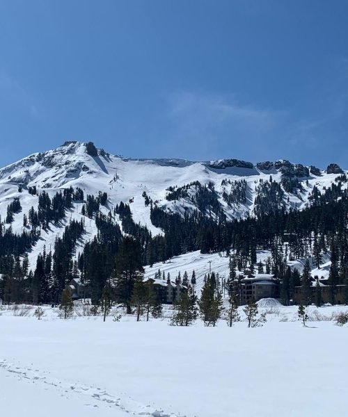 WhatsApp Image 2025-11-21 at 3.08.13 PM (6)