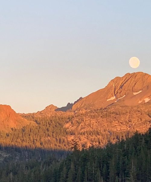 WhatsApp Image 2025-11-21 at 3.08.14 PM