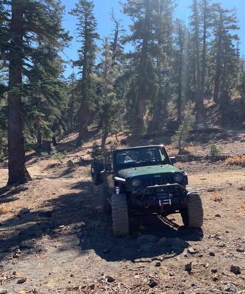 WhatsApp Image 2025-11-21 at 3.08.15 PM (2)