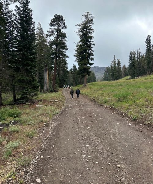 WhatsApp Image 2025-11-21 at 3.08.16 PM (9)