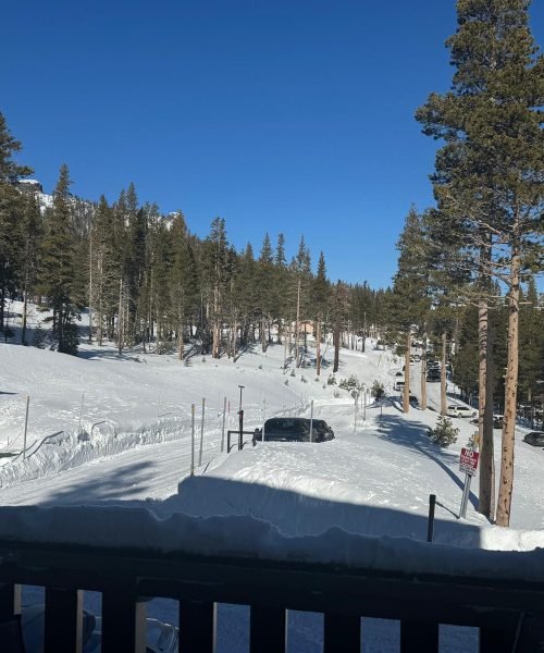 WhatsApp Image 2025-11-21 at 3.08.17 PM (5)