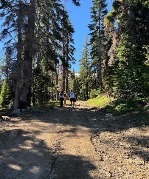 WhatsApp Image 2025-11-21 at 3.08.17 PM